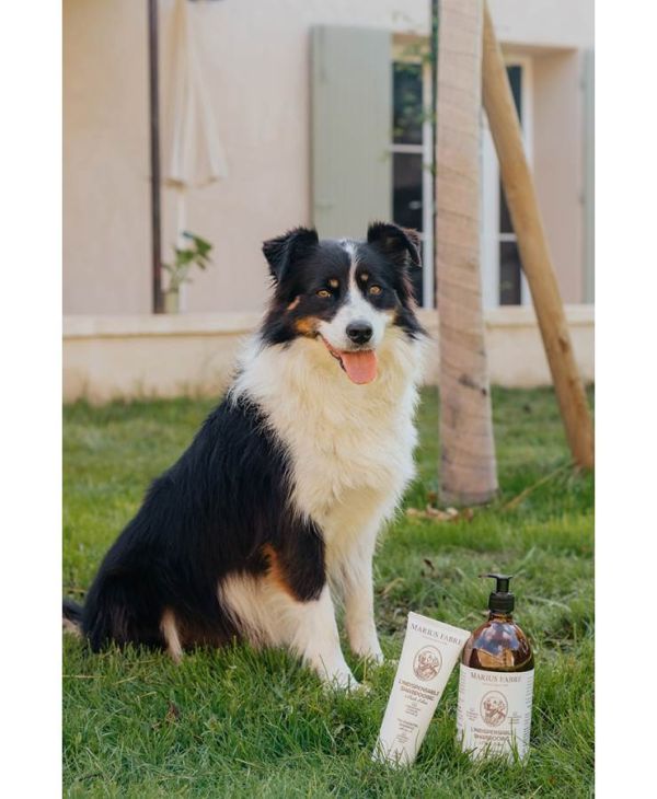 Olivenöl-Shampoo 1 Liter für den Hund